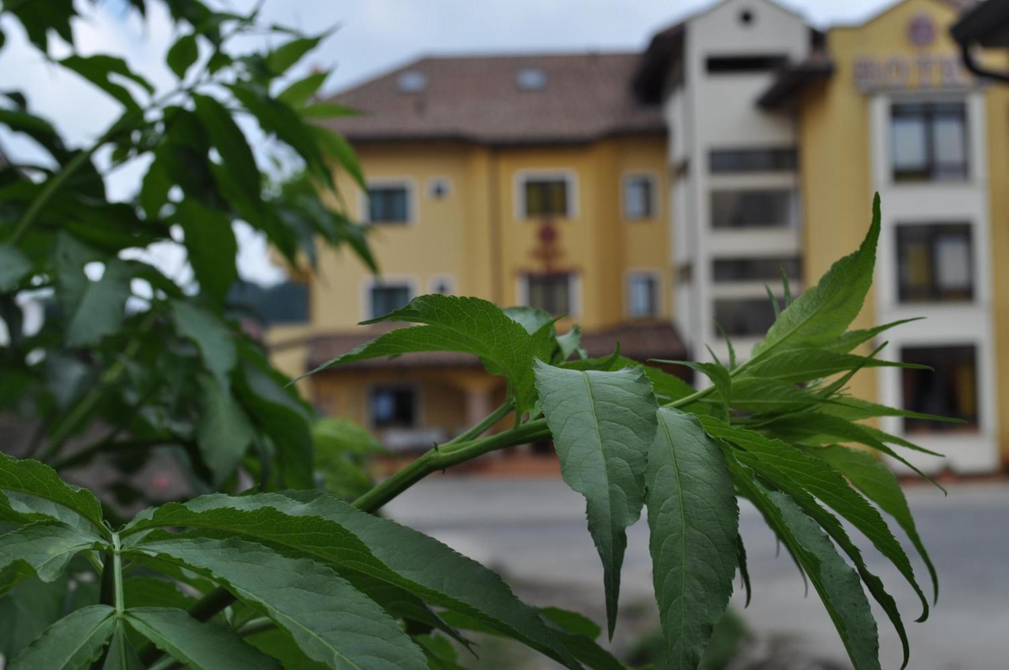 Hotel Duca Di Calabria Serra San Bruno Kültér fotó